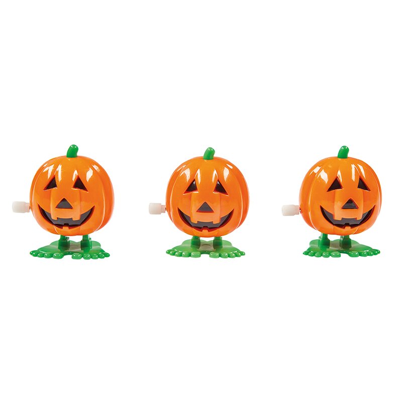 Klapperkürbisse 12er Display