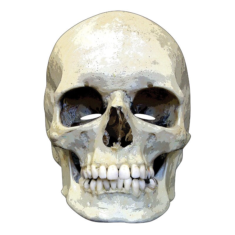 Skull Horror Face Mask